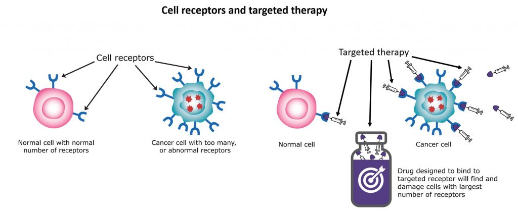 What is Targeted Therapy?-Stahlmann Special Material What is Targeted Therapy?-Stahlmann Special Material